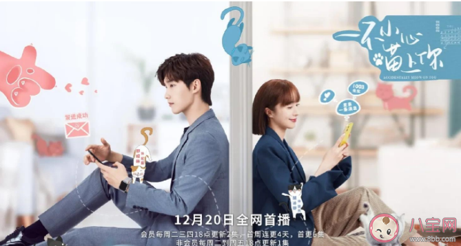 《一不小心喵上你》講述了什么故事 該劇各人物角色介紹