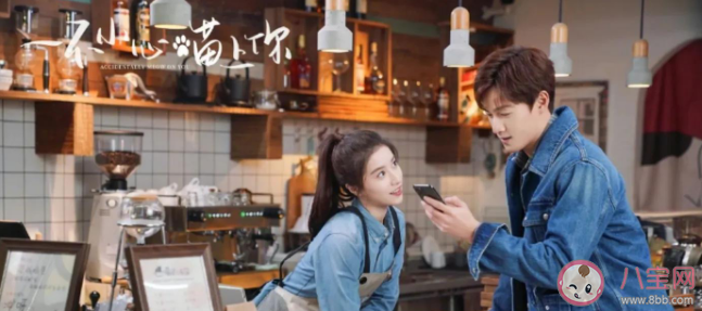 《一不小心喵上你》講述了什么故事 該劇各人物角色介紹