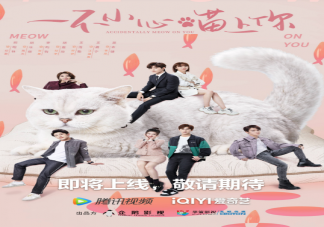 《一不小心喵上你》講述了什么故事 該劇各人物角色介紹