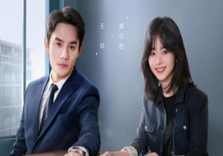 《向風而行》追劇日歷 程霄顧南亭結局是什么