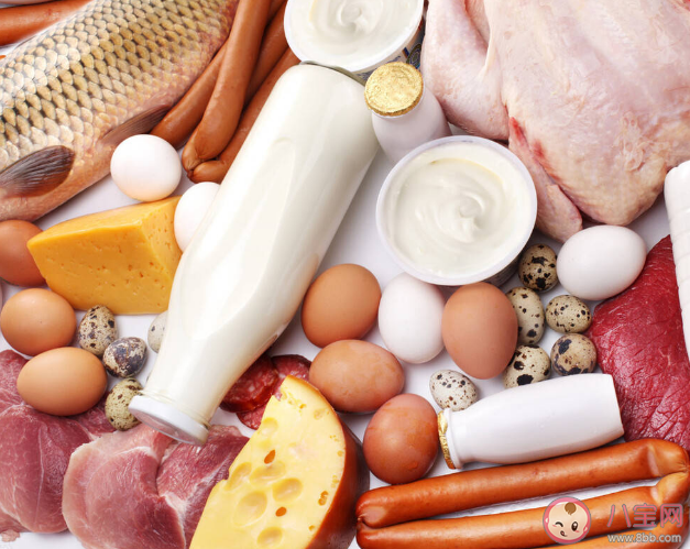 優(yōu)質(zhì)蛋白質(zhì)有哪些 每天補(bǔ)充多少蛋白質(zhì)合適 優(yōu)質(zhì)蛋白質(zhì)有哪些 每天補(bǔ)充多少蛋白質(zhì)合適