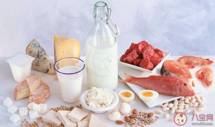 優(yōu)質(zhì)蛋白質(zhì)有哪些 每天補(bǔ)充多少蛋白質(zhì)合適 優(yōu)質(zhì)蛋白質(zhì)有哪些 每天補(bǔ)充多少蛋白質(zhì)合適