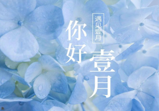 2023適合一月發(fā)的朋友圈文案說說 2023一月到了的朋友圈說說句子