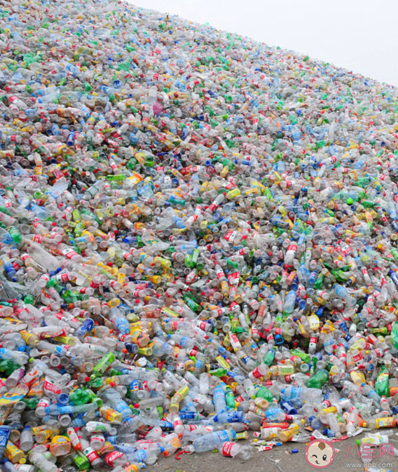 女子跨年夜撿煙花廢品賺552元是真的嗎 賣(mài)廢品有多賺錢(qián)