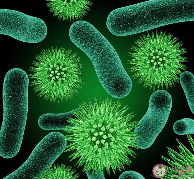 家里哪些地方最容易藏匿霉菌 霉菌對身體有什么危害 家里哪些地方最容易藏匿霉菌 霉菌對身體有什么危害