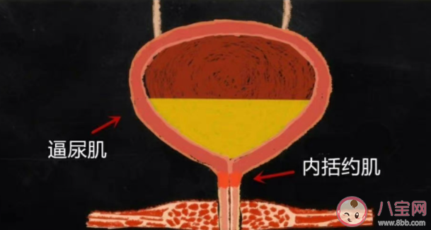 醫生分析不少人陽后出現婦科問題 陽過后月經紊亂是怎么回事 醫生分析不少人陽后出現婦科問題 陽過后月經紊亂是怎么回事