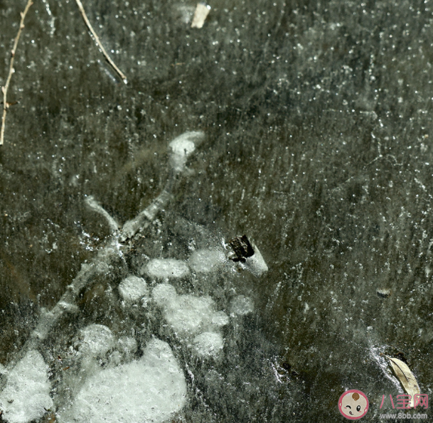 趙讓新歌《紋》歌詞是什么 《紋》完整版歌詞在線聽歌 趙讓新歌《紋》歌詞是什么 《紋》完整版歌詞在線聽歌