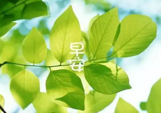 2023早安心語正能量文案說說 2023早安語錄說說朋友圈