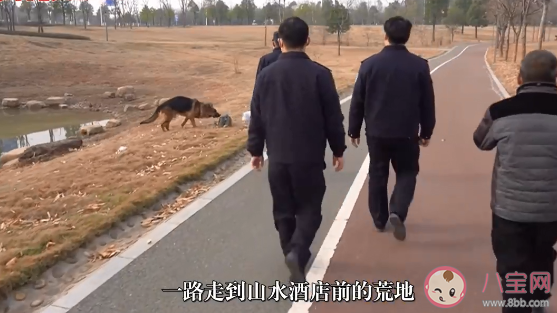 老人患新冠不愿拖累子女離家出走是怎么回事 老人感染新冠該怎么辦