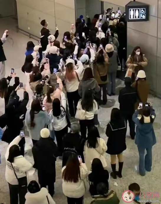 粉絲接送機(jī)文化該不該禁止 如何看待粉絲接機(jī)行為