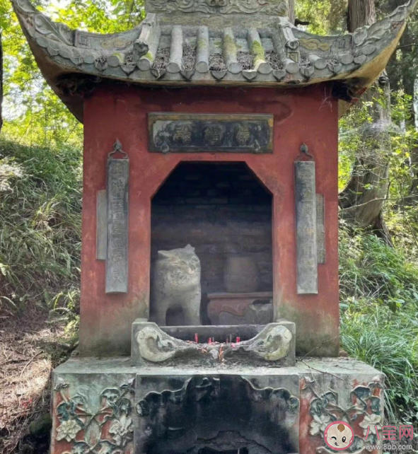 《中國奇譚》小貓廟原型是哪里 小貓廟是什么時候存在的