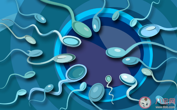 男性患上無精癥還能生育嗎 導致無精癥的原因有哪些