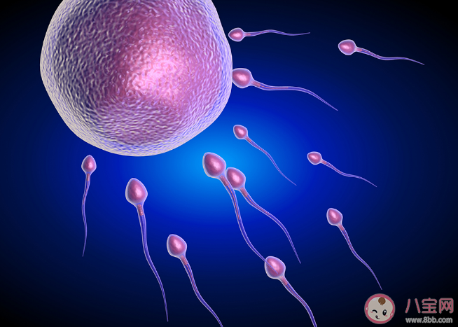男性患上無精癥還能生育嗎 導致無精癥的原因有哪些
