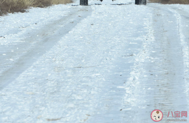 雪天不慎摔倒如何保護自己 摔倒后哪些地方最容易骨折