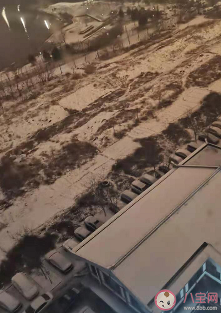 雪天不慎摔倒如何保護自己 摔倒后哪些地方最容易骨折