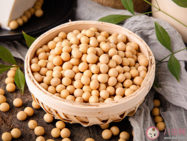 喝牛奶吃大豆會導致未成年人性早熟嗎 豆奶與牛奶營養有何不同