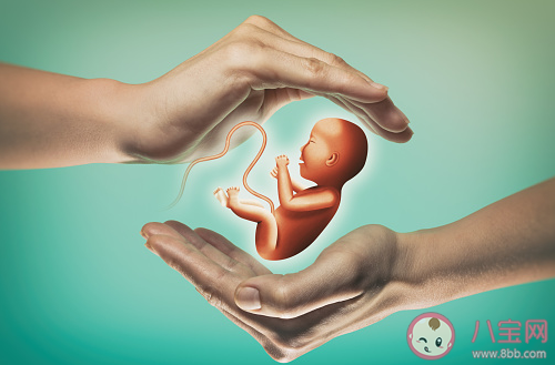 任澤平放開并鼓勵生育刻不容緩 怎樣提高人們的生育意愿