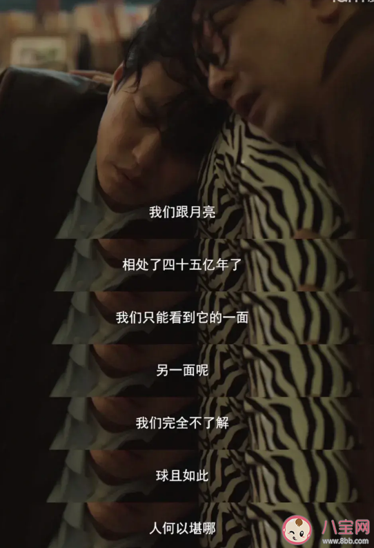 《縱有疾風起》經典臺詞語錄 《縱有疾風起》現實戳心的臺詞句子摘抄