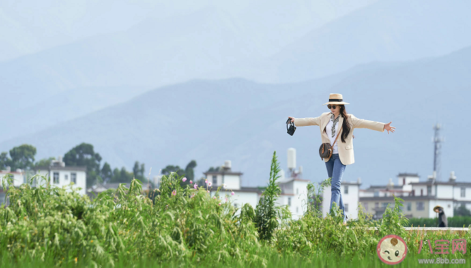 《去有風(fēng)的地方》大結(jié)局是什么 結(jié)局有哪些看點(diǎn)