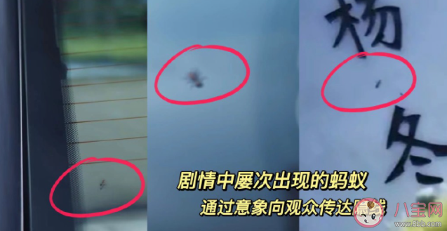 為什么《三體》適合反復觀看 《三體》觀后感