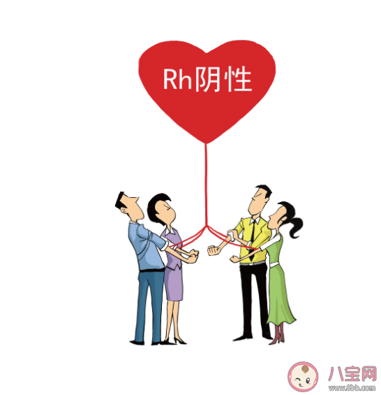 熊貓血特殊在哪里 熊貓血會遺傳嗎影響健康嗎 熊貓血特殊在哪里 熊貓血會遺傳嗎影響健康嗎