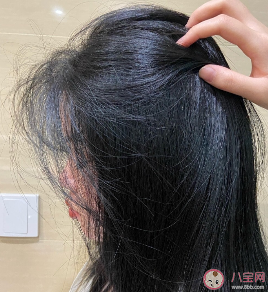 洗頭后到底要不要馬上吹干 自然干和吹干哪個更好