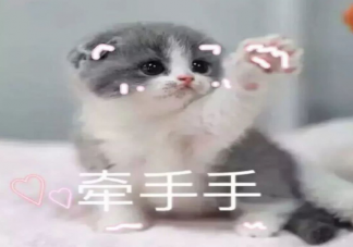 撒嬌對男生到底好不好用 如何正確和男朋友撒嬌