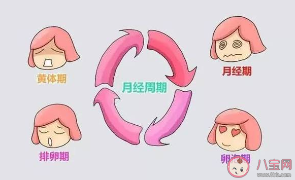 女性排卵期會有哪些反應(yīng) 排卵期小腹會脹痛嗎 女性排卵期會有哪些反應(yīng) 排卵期小腹會脹痛嗎