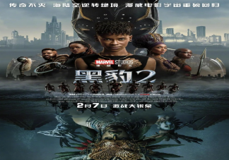《黑豹2》好看嗎 《黑豹2》影評觀后感