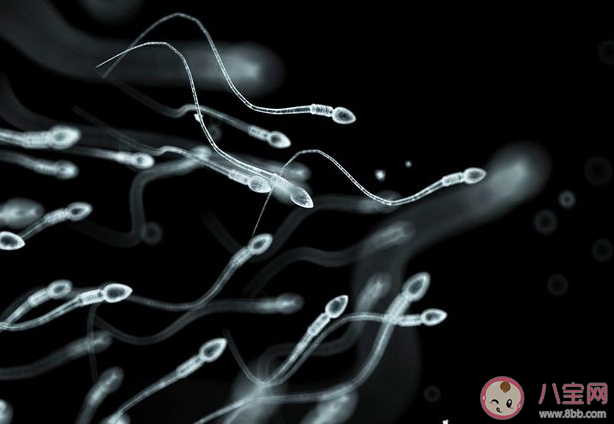 云南省人類精子庫倡議大學生捐精 如何在日常生活中改善精液質量