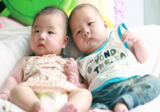 為何同卵雙胞胎指紋不同 同卵雙胞胎健康狀況一樣嗎