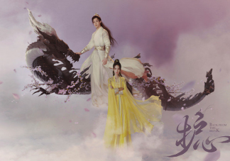 《護心》根據(jù)什么小說改編的 雁回天曜結局是什么