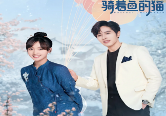 《騎著魚的貓》改編自什么小說 《騎著魚的貓》人物關(guān)系介紹