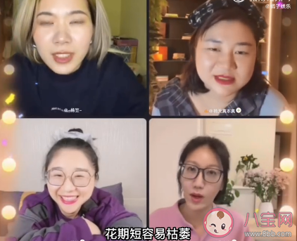 玫瑰刺又多花期又短還容易枯萎 玫瑰為什么能代表愛情