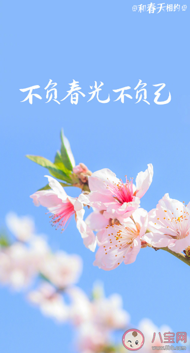 2023春日加油壁紙圖片大全 適合春天發的朋友圈心動文案說說