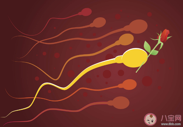 男性禁欲會把身體憋壞嗎 長期禁欲精子質量會變好還是變差