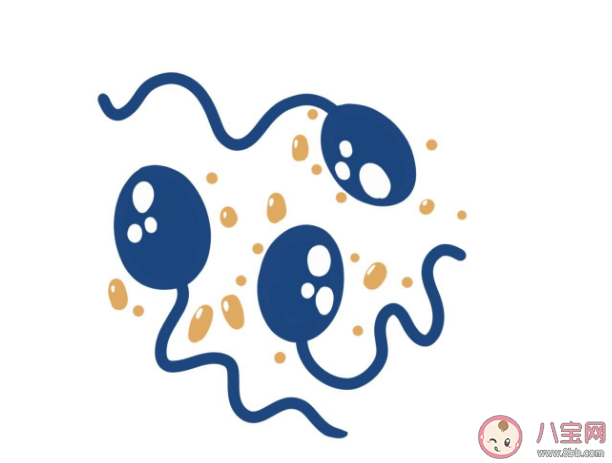 男性禁欲會把身體憋壞嗎 長期禁欲精子質量會變好還是變差