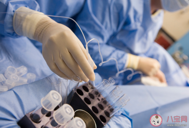 試管嬰兒被弄錯與現(xiàn)父母均無血緣是怎么回事 試管嬰兒弄錯胚胎概率大嗎