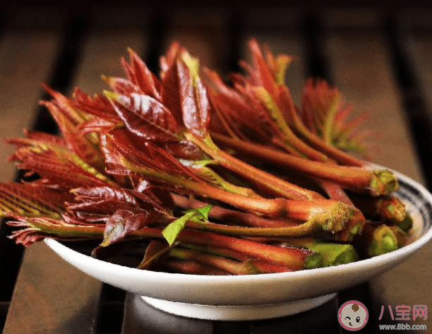 香椿芽有哪些營養價值 買香椿有什么注意事項