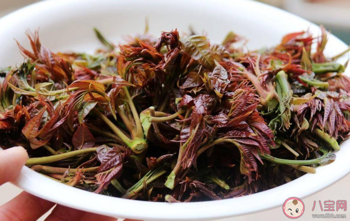 香椿芽有哪些營養價值 買香椿有什么注意事項