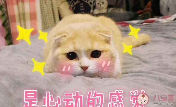 要不要和不喜歡但合適的人結(jié)婚 如何正確看待戀愛和結(jié)婚區(qū)別
