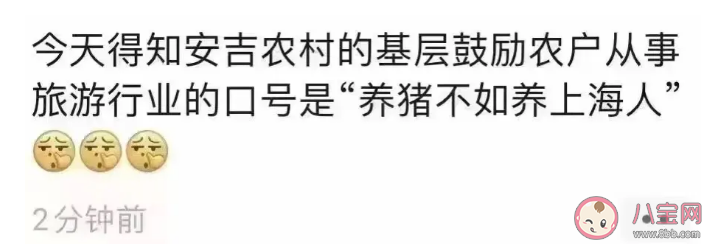 養豬不如養上海人是什么梗 如何看待這個說法