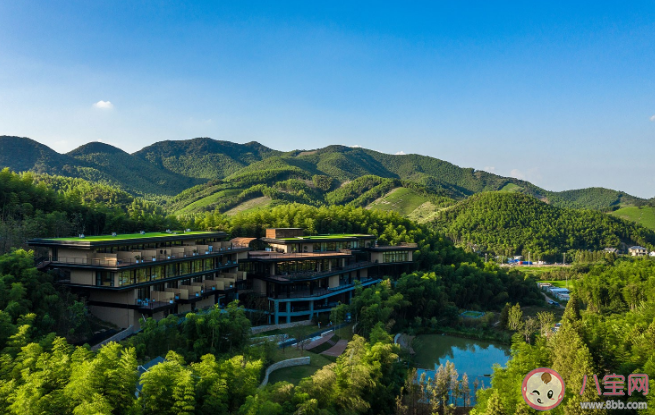 養豬不如養上海人是什么梗 如何看待這個說法