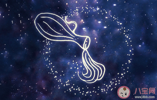 水瓶座真的很適合搞事業嗎 水瓶座的人是什么性格 水瓶座真的很適合搞事業嗎 水瓶座的人是什么性格