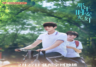 《那年時(shí)光安好》人物關(guān)系是怎樣的 該劇講述了什么故事