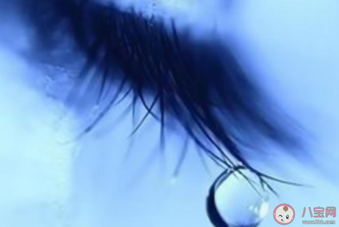 如何看待公司設(shè)立臨時(shí)哭泣點(diǎn) 難過時(shí)怎么發(fā)泄情緒 如何看待公司設(shè)立臨時(shí)哭泣點(diǎn) 難過時(shí)怎么發(fā)泄情緒