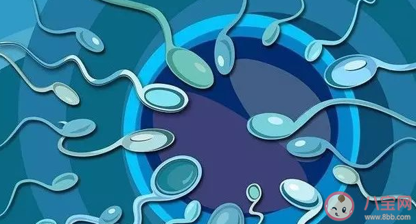 男性最佳生育年齡為30到35周歲嗎 如何提高男性生育能力