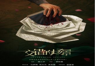 《交錯的場景》是根據什么小說改編的 原著小說故事梗概