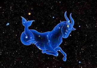 摩羯座是無法挽回的嗎 摩羯座在感情中是怎樣的