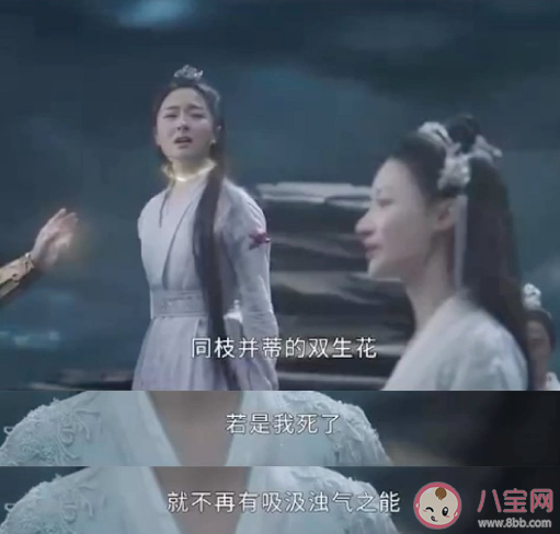 《星落凝成糖》夜曇黑化是什么原因 夜曇為什么沒有殺天帝